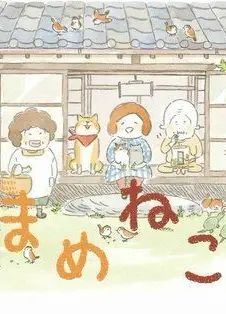 豆猫