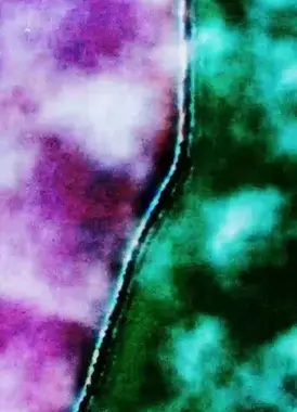 Crack, Brutal, Grief