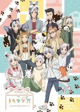 UCHITAMA?!～猫狗宠物街～