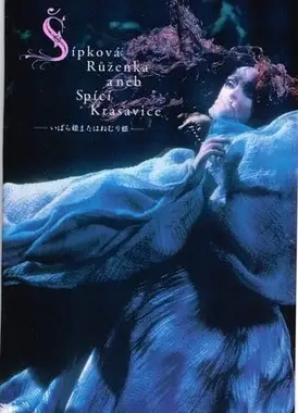 野蔷薇公主和睡美人