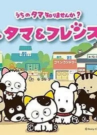 タマ＆フレンズ ～うちのタマ知りませんか？～
