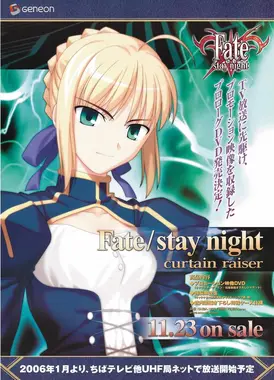 Fate/stay night curtain raiser