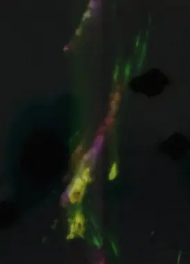 Delicacies of Molten Horror Synapse