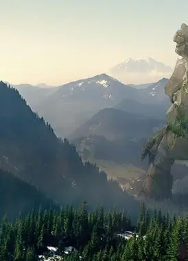 动量和惯性的故事