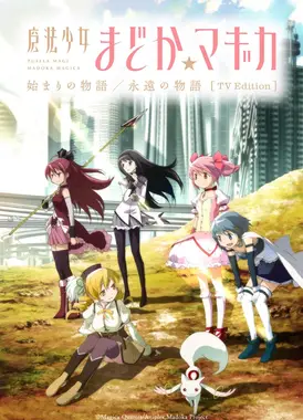 魔法少女小圆 起始的物语&永远的物语 TV剪辑版