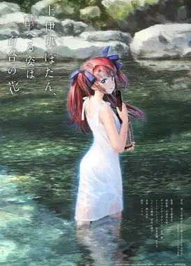 上伊那牡丹，酒醉身姿似百合花般