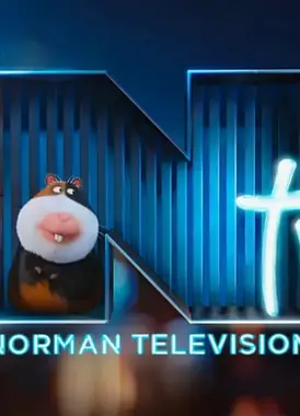 诺尔曼电视台