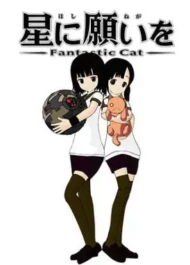向星星许愿 -Fantastic Cat-