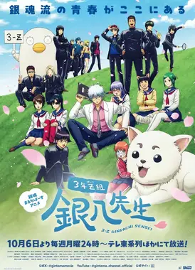 3年Z班银八老师