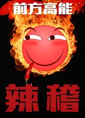 前方高能之辣稽