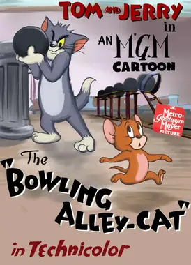 保龄球馆里的猫