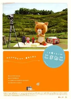 追逐拍摄的可玛猫