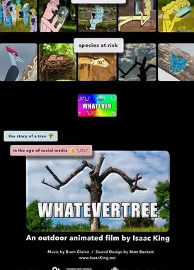 不知所舞树