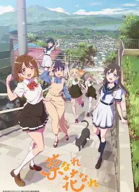 亦叶亦花