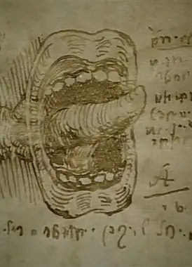 莱昂纳多的日记