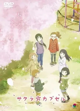 樱花树下的时间胶囊