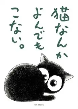 为什么猫都叫不来