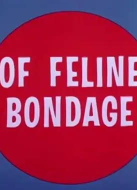 猫的枷锁