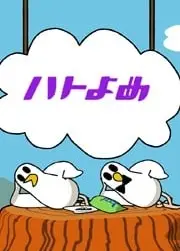 鸽子的媳妇