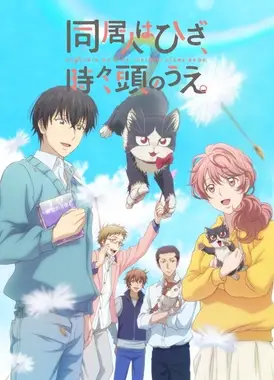 同居人时而在腿上、时而跑到脑袋上