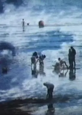 海滩