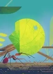 自然的形式：理解我们的宇宙