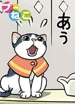 小噗猫