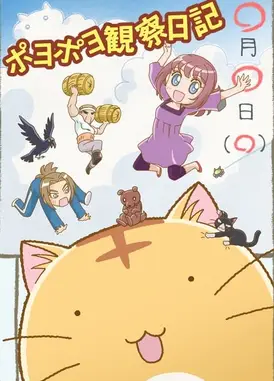 嘟嘟猫观察日记