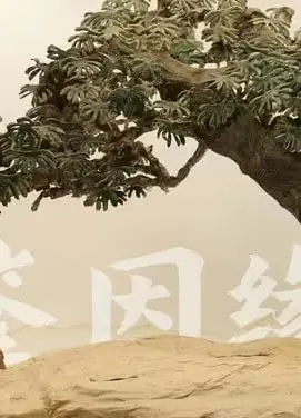 鉴因缘